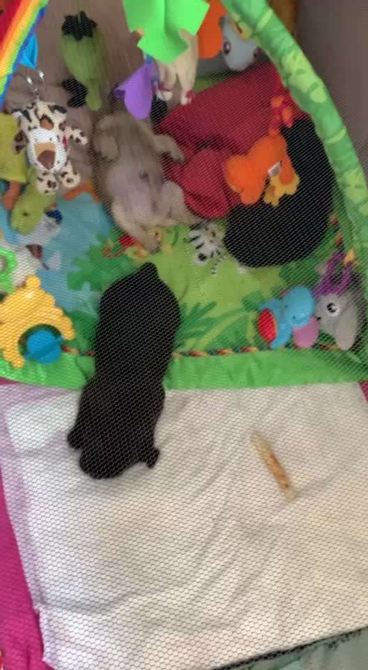 Sie werden so schnell erwachsen ...-Beitrag-Bild