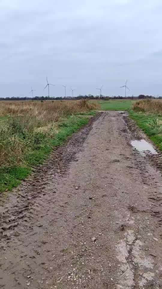 Windhunde - Treffen der besonderen Schönheiten
HERZLICH WILLKOMMEN-Beitrag-Bild