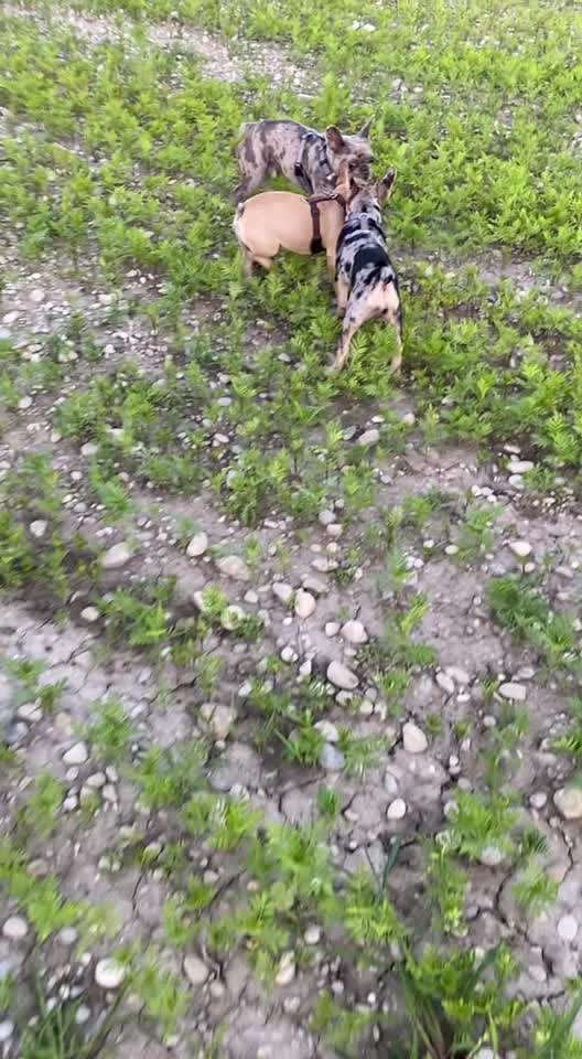 Erbrechen durch Stress?-Beitrag-Bild