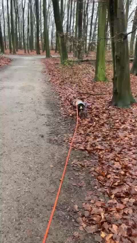 Impulskontrolle Challenge Nr. 10 "Zurücklassen"-Beitrag-Bild