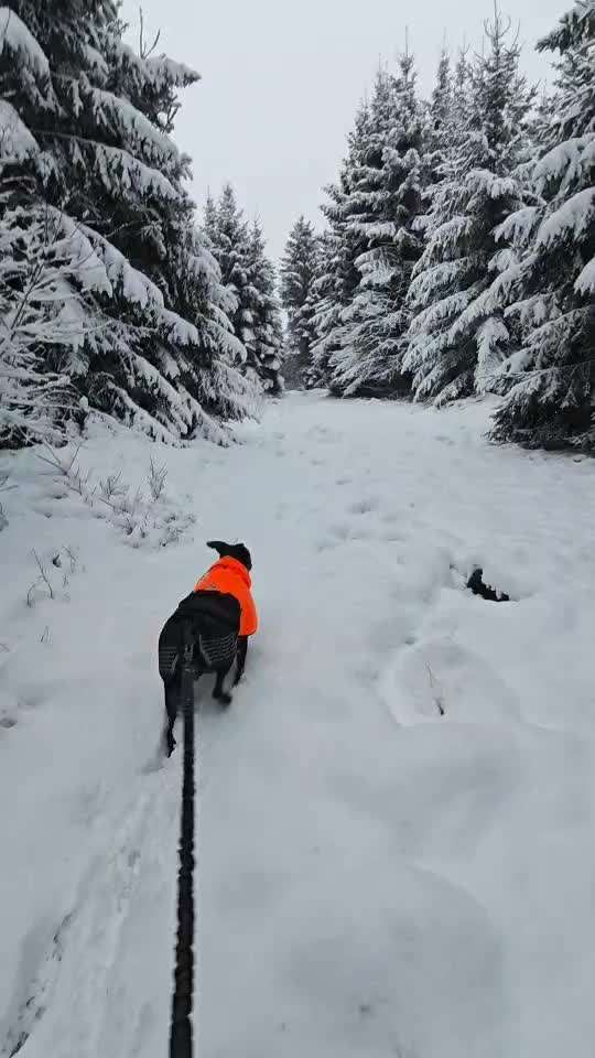 Was hat euch heute gefreut?-Beitrag-Bild