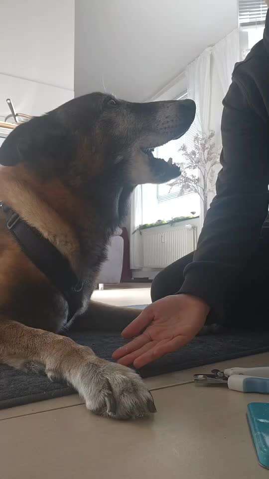 Was hat euch heute gefreut?-Beitrag-Bild