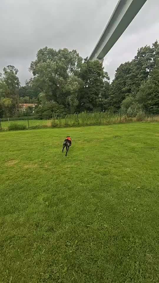 Was hat euch heute gefreut?-Beitrag-Bild