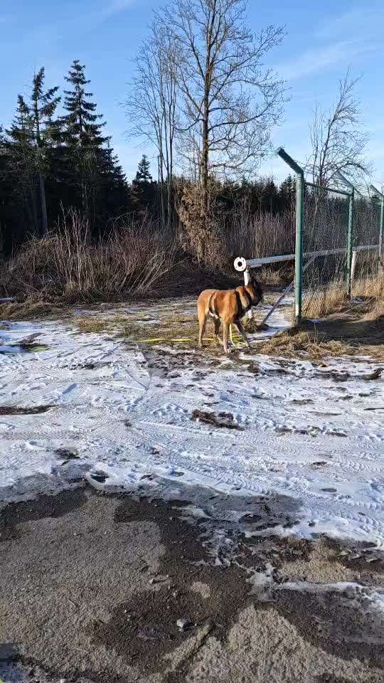 Was hat euch heute genervt?-Beitrag-Bild