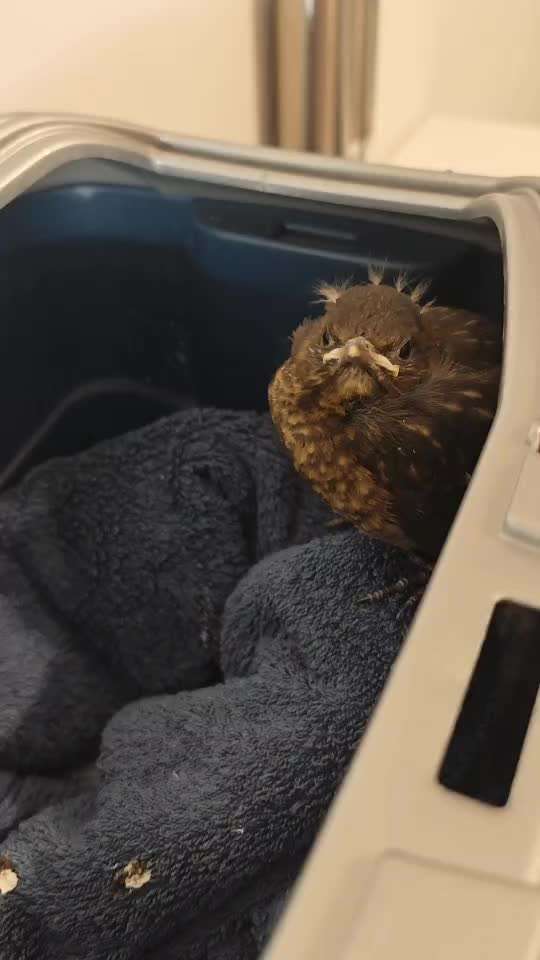 Was hat euch heute gefreut?-Beitrag-Bild