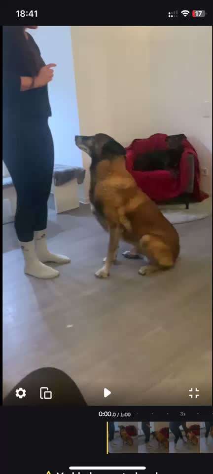 Trickchallenge - ich packe meinen 6. Koffer-Beitrag-Bild