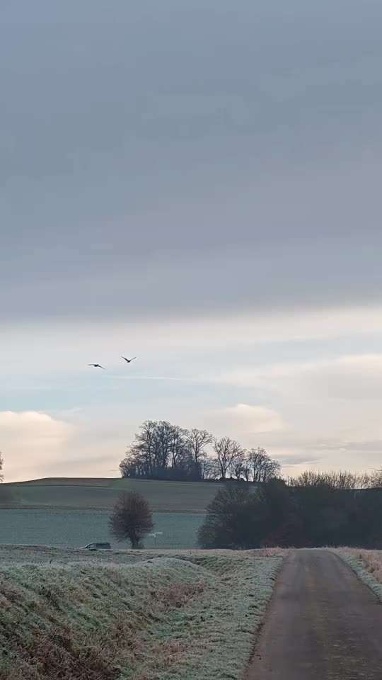 aktuelles Foto Gruppe Wandern und Outdoor