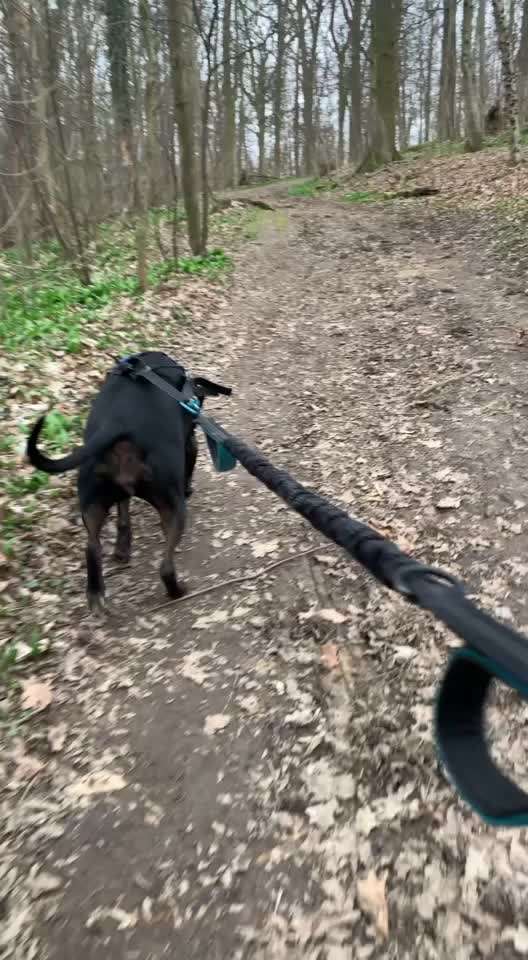 Was hat euch heute gefreut?-Beitrag-Bild