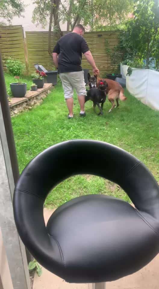 Was hat euch heute gefreut?-Beitrag-Bild