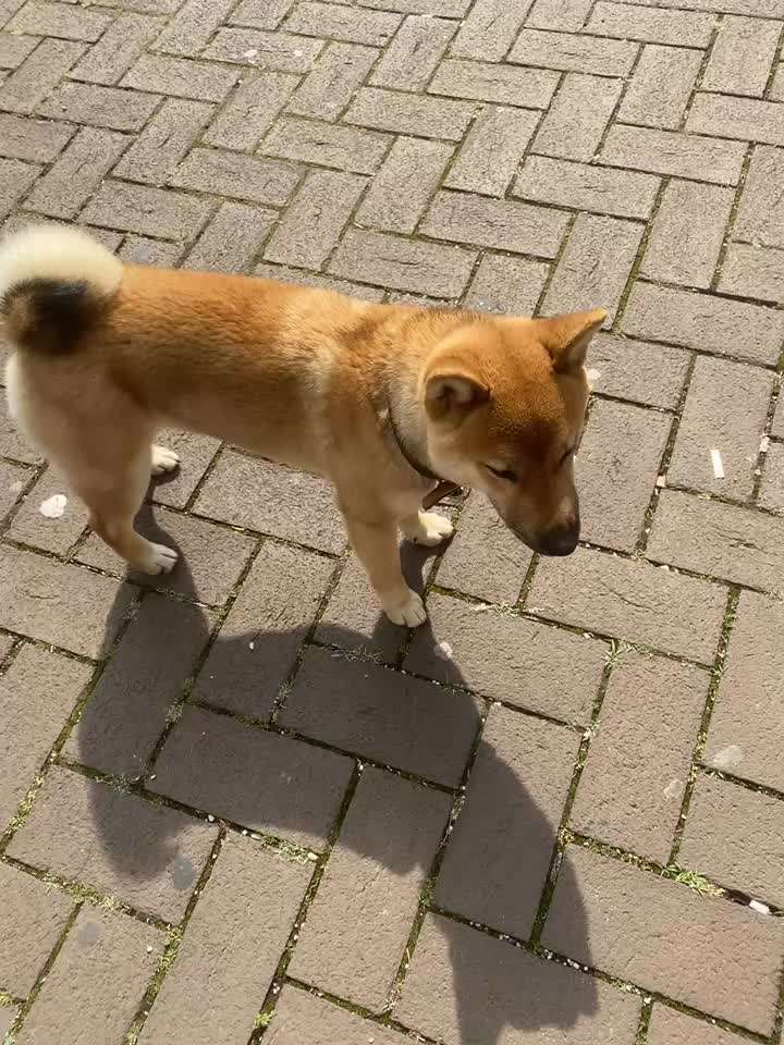 ATMET KOMISCH-Beitrag-Bild