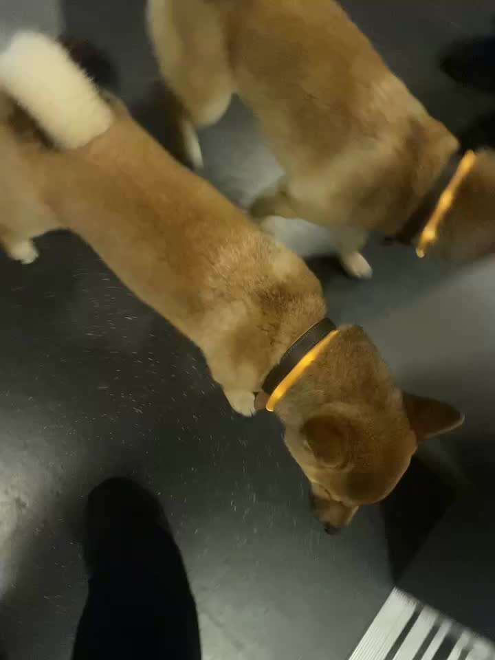 ATMET KOMISCH-Beitrag-Bild