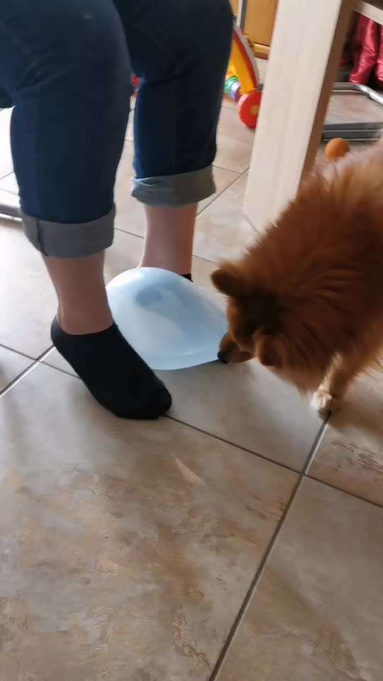 LUSTIGE FOTOS! WER KANN MITHALTEN?-Beitrag-Bild