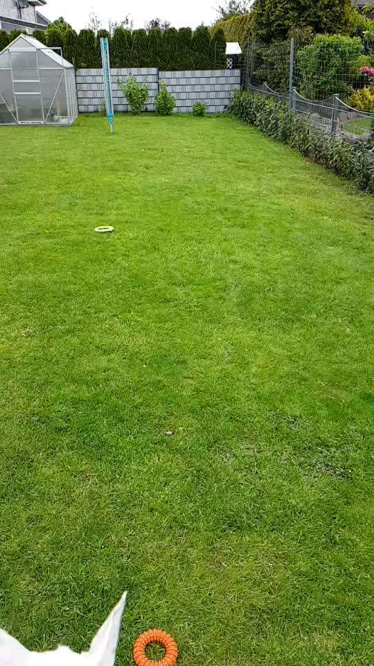 Hier ist der Spaßthread. Zum Schmunzeln und Kaputtlachen-Beitrag-Bild