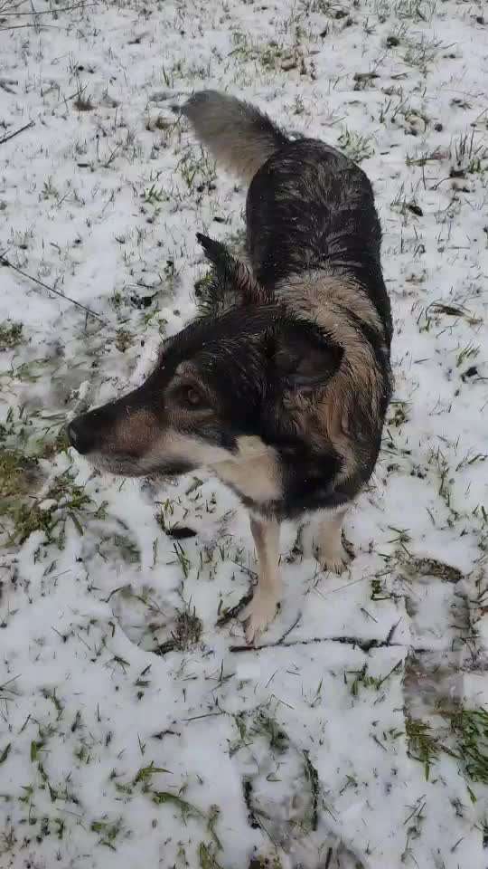 Trick Challange Nr 3-Beitrag-Bild