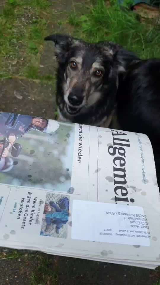 44. Video Challenge - Spielen mit dem Lieblingsspielzeug-Beitrag-Bild