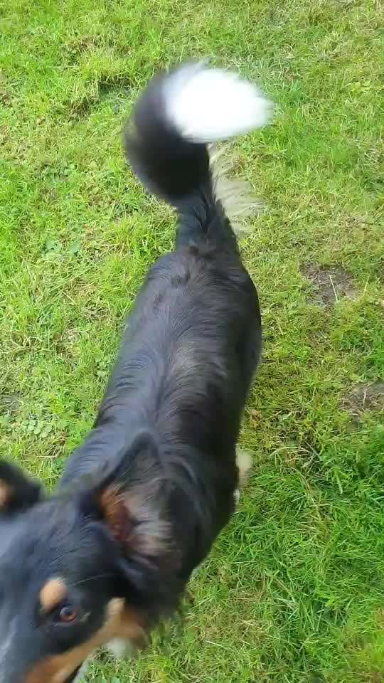 Dauerstress-Beitrag-Bild