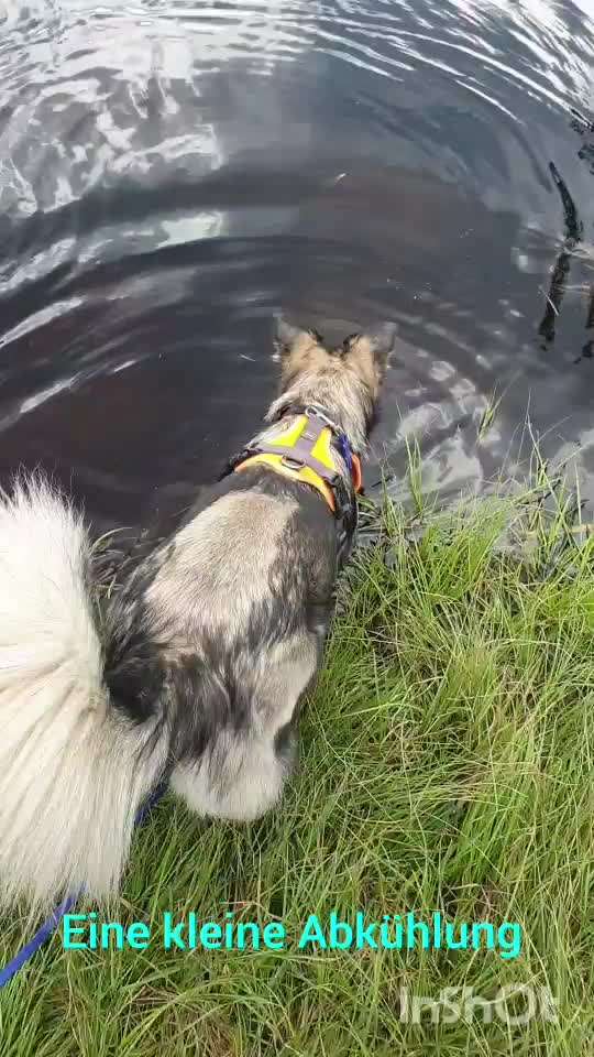 Kurzgeschichten-Challenge Nr. 18-Beitrag-Bild