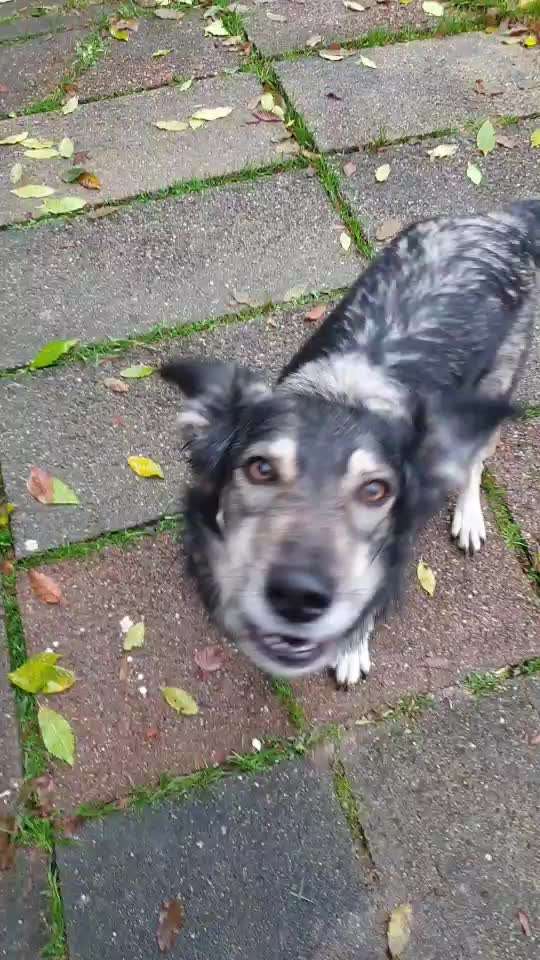 𝕋ℝ𝕀ℂ𝕂 ℂℍ𝔸𝕃𝕃𝔼ℕ𝔾𝔼 ℕℝ. 𝟙-Beitrag-Bild