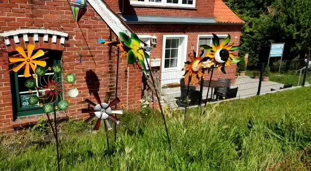 TierschutzhundeStammtisch🐕-Beitrag-Bild