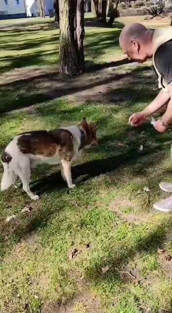 𝕋ℝ𝕀ℂ𝕂 ℂℍ𝔸𝕃𝕃𝔼ℕ𝔾𝔼 ℕℝ. 𝟙-Beitrag-Bild