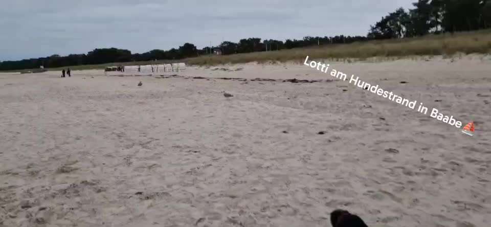 "Wege zur Freundschaft" (Ulli Reichmann)-Beitrag-Bild