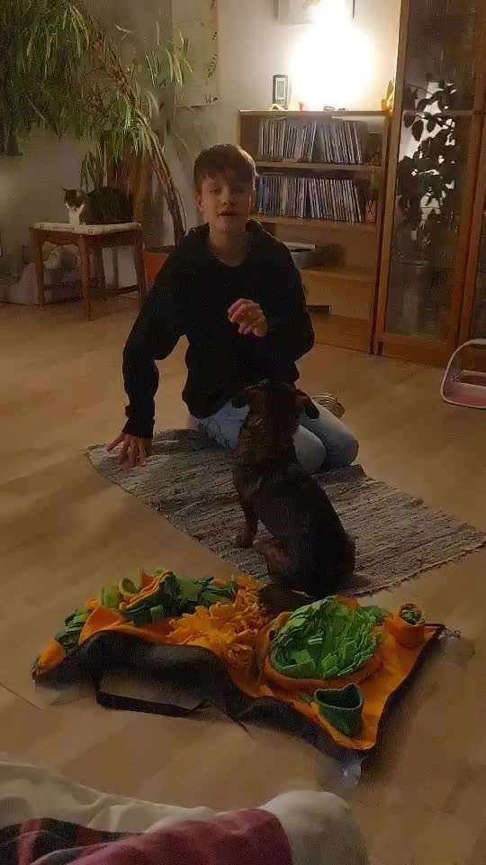 TierschutzhundeStammtisch🐕-Beitrag-Bild