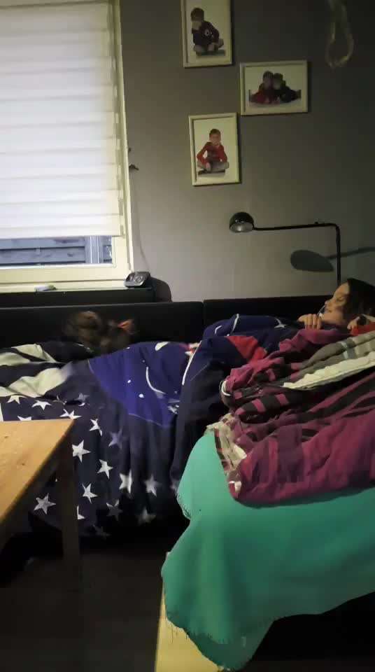 TierschutzhundeStammtisch🐕-Beitrag-Bild