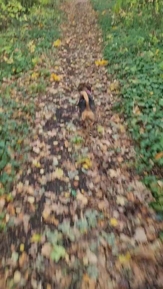 TierschutzhundeStammtisch🐕-Beitrag-Bild