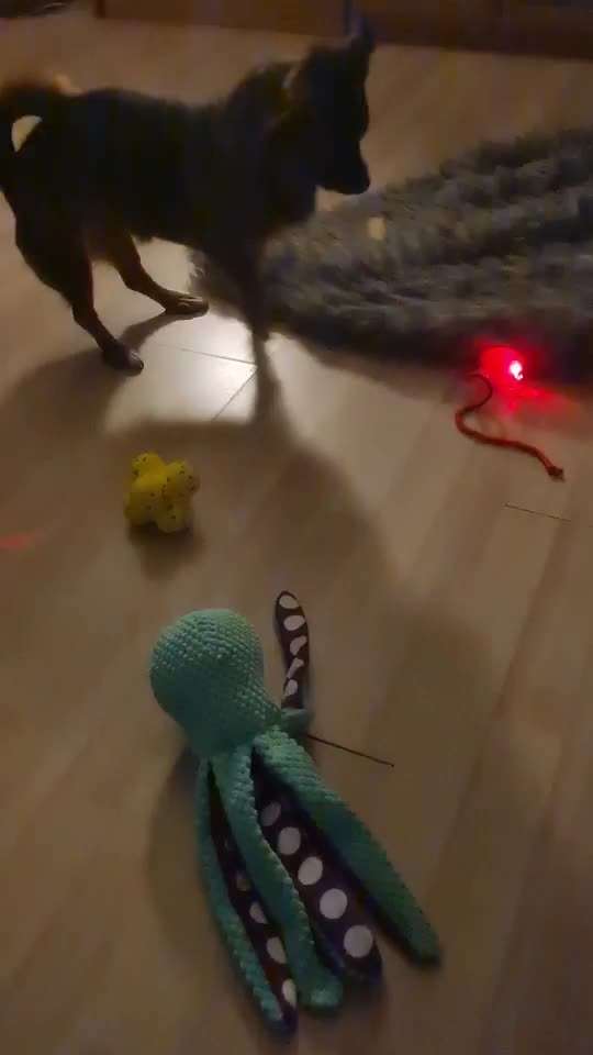 TierschutzhundeStammtisch🐕-Beitrag-Bild