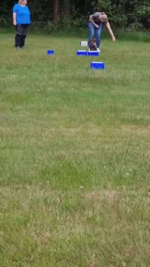 TierschutzhundeStammtisch🐕-Beitrag-Bild