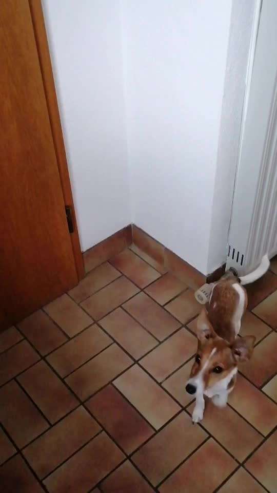 𝕋ℝ𝕀ℂ𝕂 ℂℍ𝔸𝕃𝕃𝔼ℕ𝔾𝔼 ℕℝ. 𝟙-Beitrag-Bild