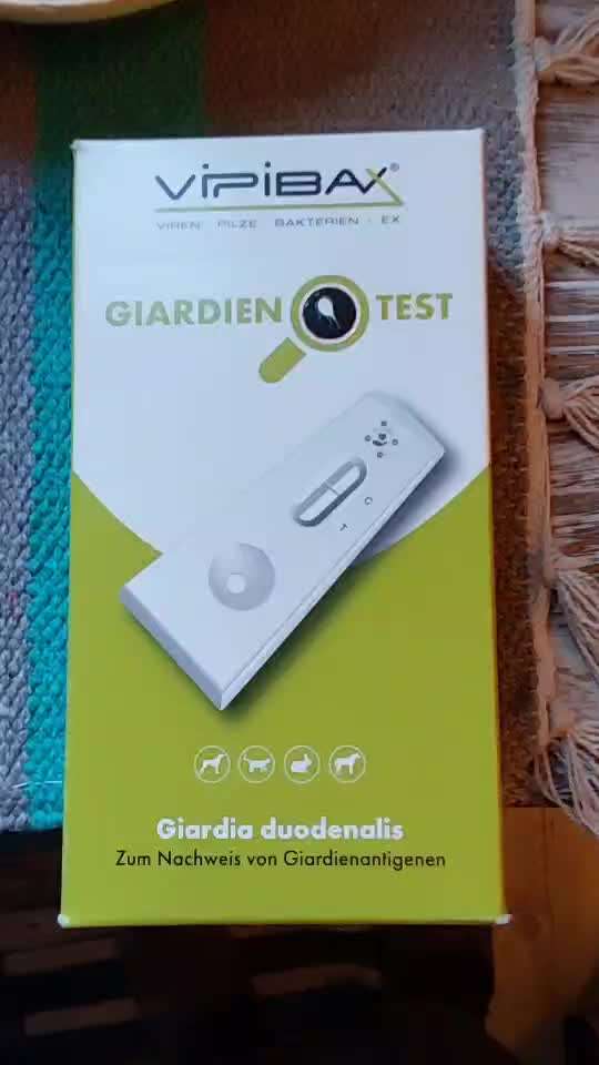 Lagotto Romagnolo Besitzer-Beitrag-Bild