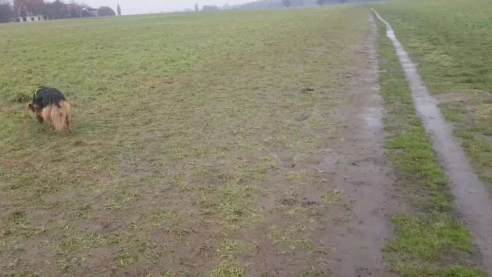 Ursache fürs Anspringen finden und beheben-Beitrag-Bild