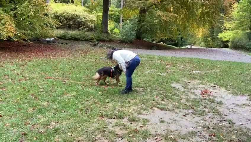 Bindung durch Spielen ohne Spielzeug?-Beitrag-Bild