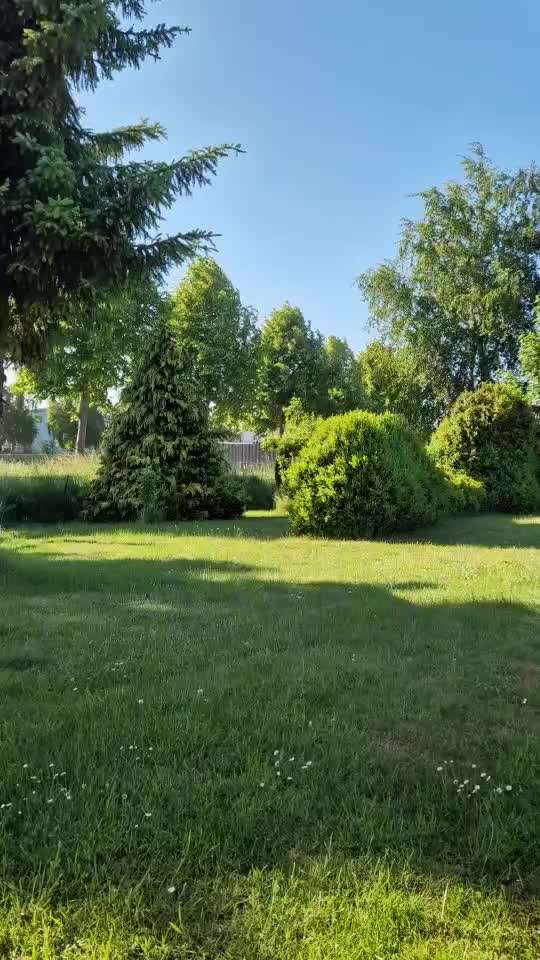 TierschutzhundeStammtisch🐕-Beitrag-Bild