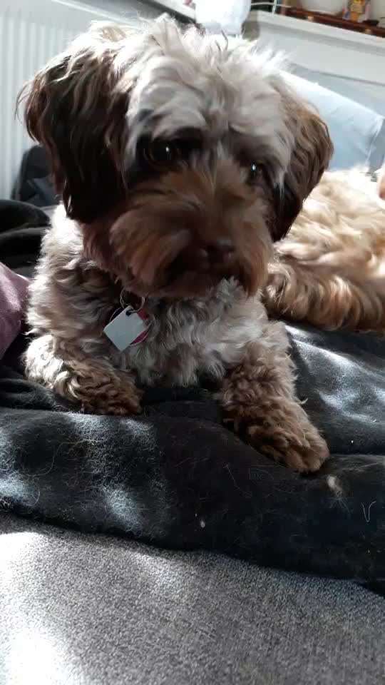 Impulskontrolle Challenge Nr.: 7
         "Gesellschaftsfähig"-Beitrag-Bild