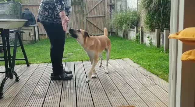 FUN AUFGABEN TOUR-Beitrag-Bild