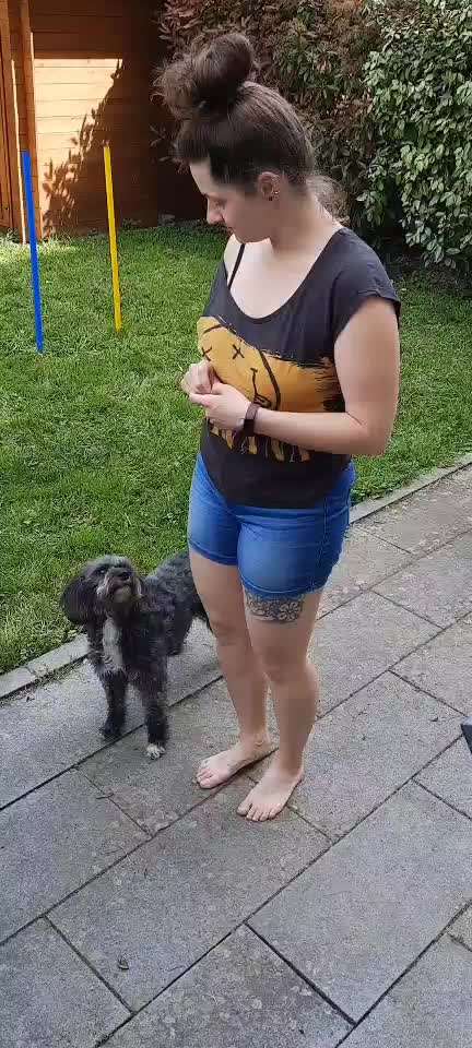 Trick Challenge Nr. 28: Slalom rückwärts-Beitrag-Bild