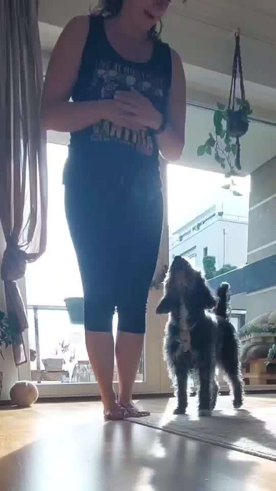 Trick Challenge Nr. 29 ,,TWIST"-Beitrag-Bild