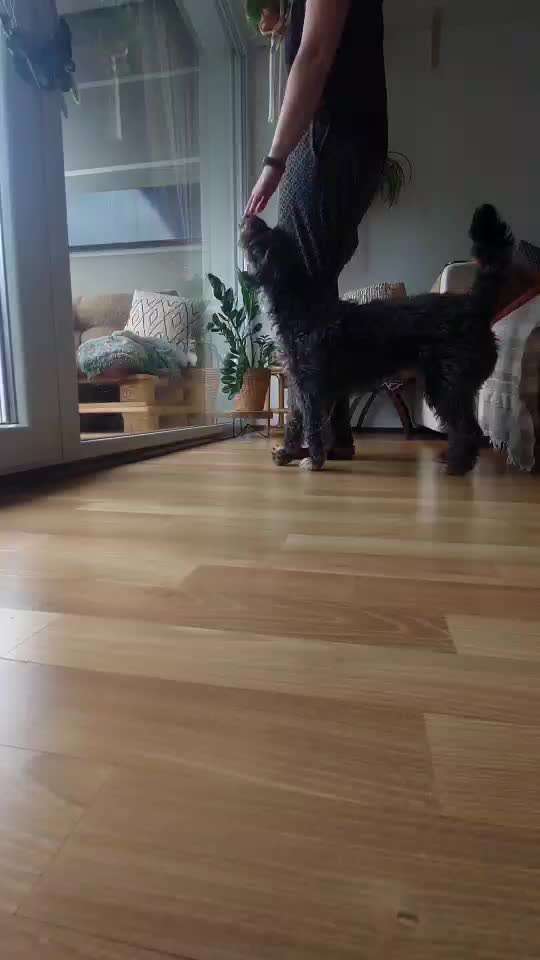 Trick Challenge Nr. 29 ,,TWIST"-Beitrag-Bild