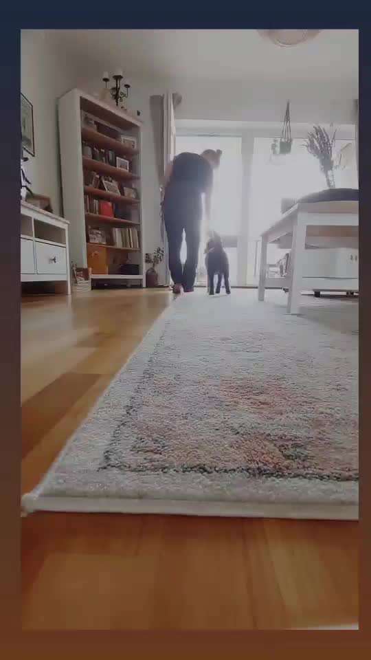 Trick Challenge Nr. 28: Slalom rückwärts-Beitrag-Bild