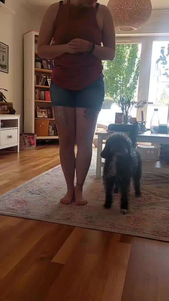 Trick Challenge Nr. 29 ,,TWIST"-Beitrag-Bild