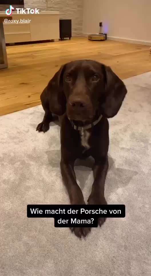 Hier ist der Spaßthread. Zum Schmunzeln und Kaputtlachen-Beitrag-Bild