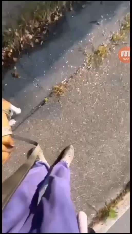 Ursache fürs Anspringen finden und beheben-Beitrag-Bild