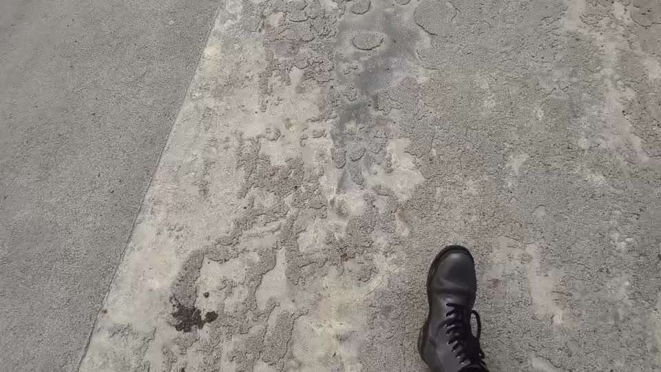 Nr. 71 - Leinenführigkeit (Impulskontrollübung)-Beitrag-Bild