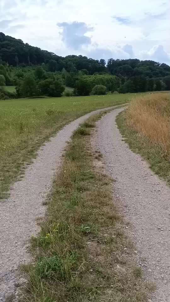 57. Impulskontrollchallenge (Zweiter Anlauf): Tiere beobachten-Beitrag-Bild
