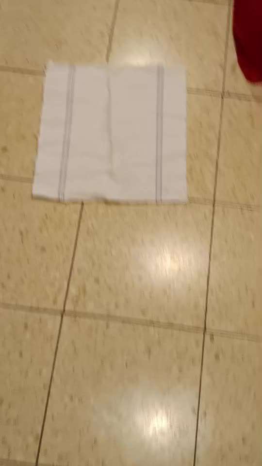 65. Gemeinsames Tricktraining: Rückwärts auf Gegenstand-Beitrag-Bild