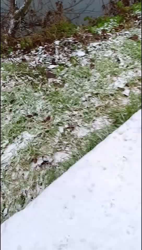 80. Trickspiel Balancieren-Beitrag-Bild