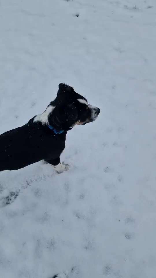 Der erste Schnee, zeigt uns eure tollen Schneemomente-Beitrag-Bild