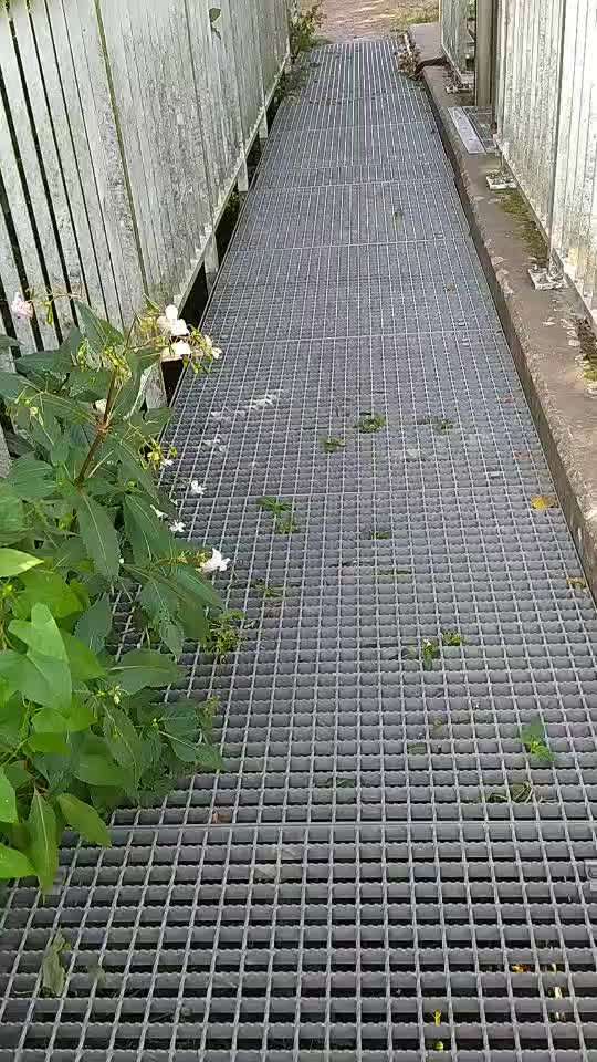 Rhodesian Ridgeback-Beitrag-Bild